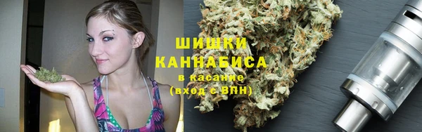 ПСИЛОЦИБИНОВЫЕ ГРИБЫ Волосово