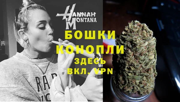 ПСИЛОЦИБИНОВЫЕ ГРИБЫ Волосово